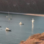 Pura vida on the hook