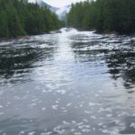 27 • alaska • lowe inlet, grenville channel